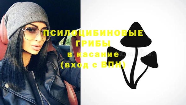 мдма Богородицк