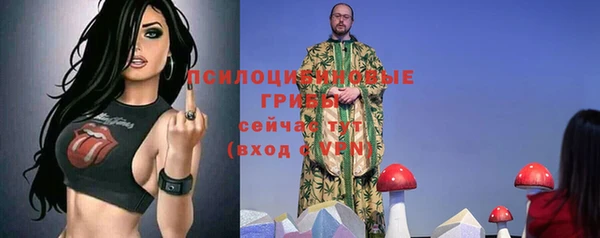 не бодяженный Богородск
