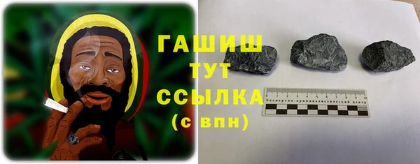 прущие грибы Белокуриха