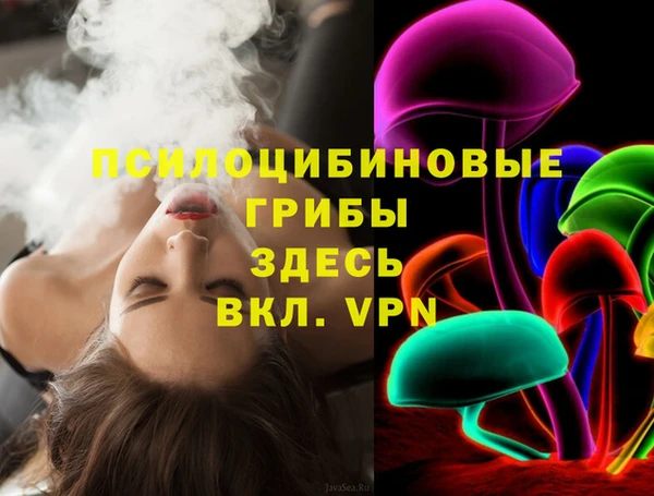 мдма Богородицк