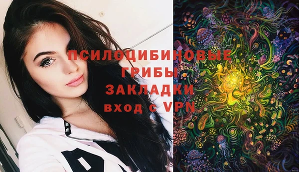 шишки Бронницы