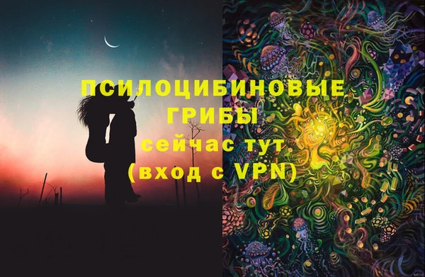 прущие грибы Белокуриха