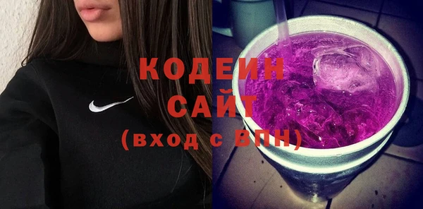 спиды Бородино